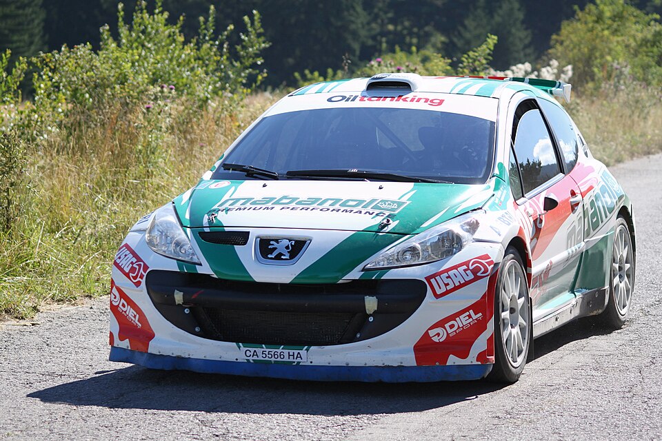 Peugeot 207 S2000 (2010)